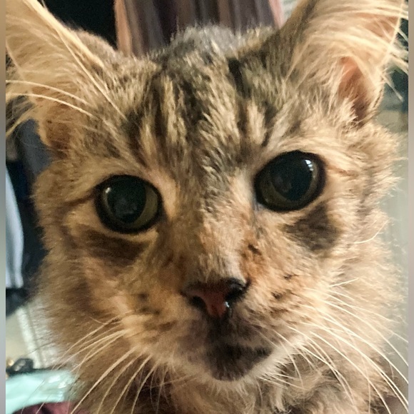 Meet your Posher, Holly - Picture 15 of 16